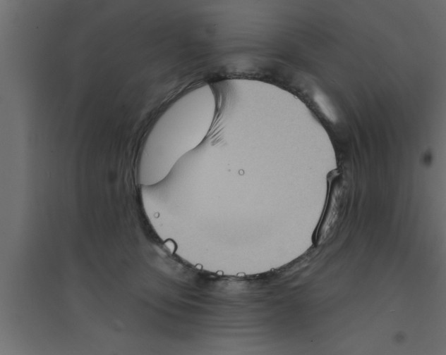 X0000094210419200711241704