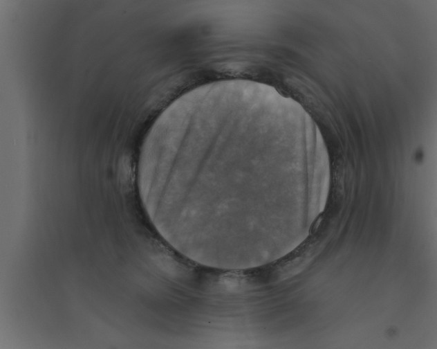 X0000094210420200711241704