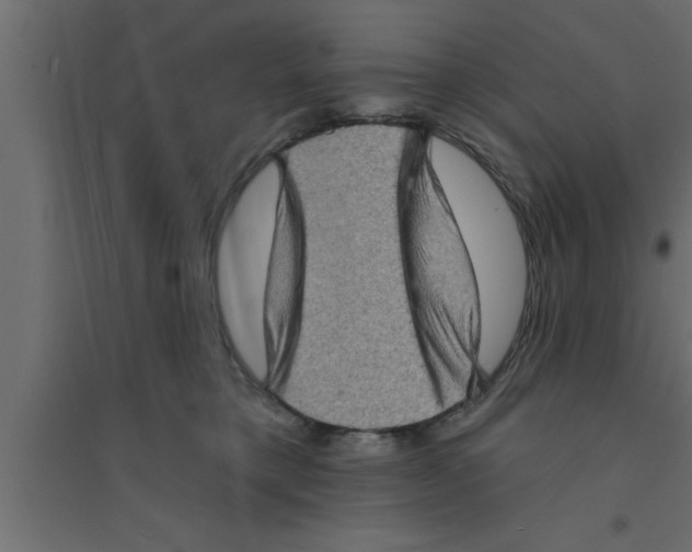 X0000094210421200711241704