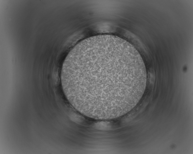 X0000094210422200711241704