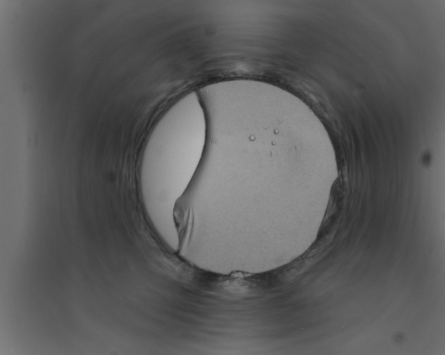 X0000094210423200711241704