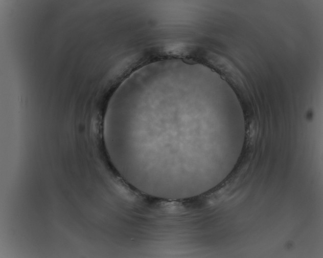 X0000094210424200711241704