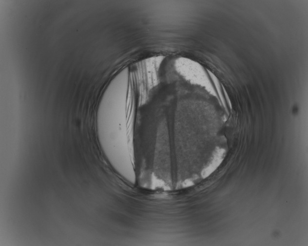 X0000094210425200711241704