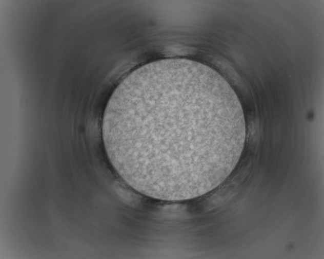 X0000094210426200711241704