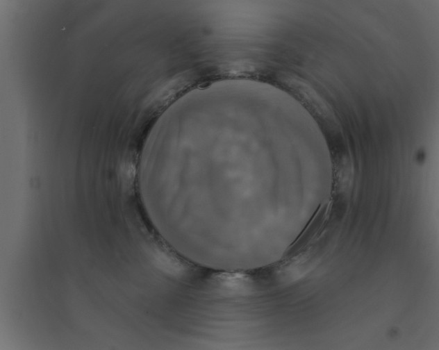 X0000094210427200711241704