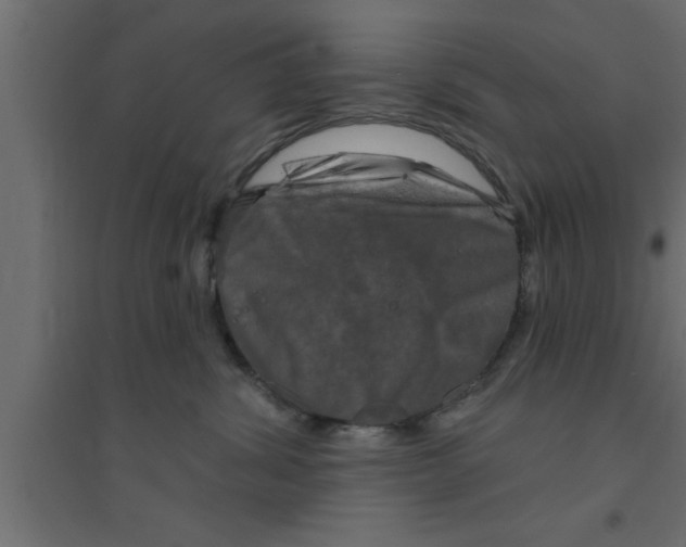 X0000094210428200711241704