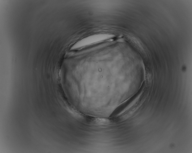 X0000094210429200711241704