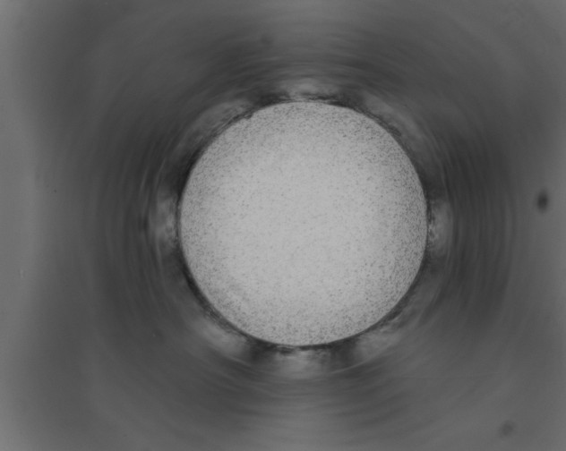 X0000094210430200711241704