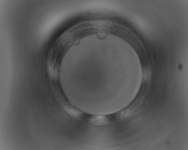 X0000094210431200711241704
