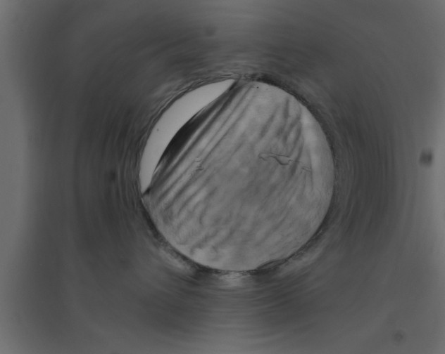 X0000094210432200711241704