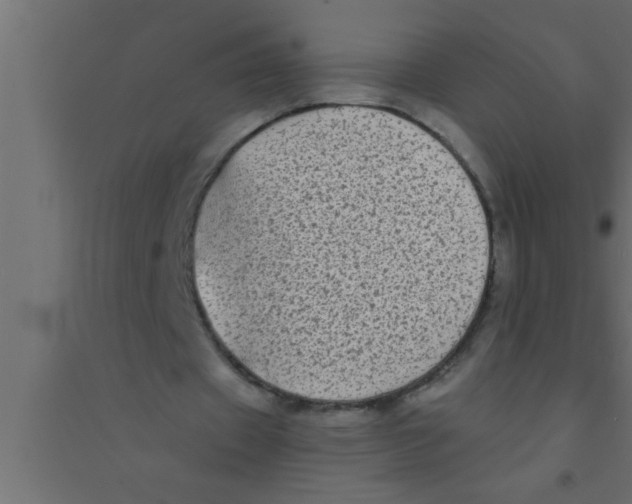X0000094210433200711241703