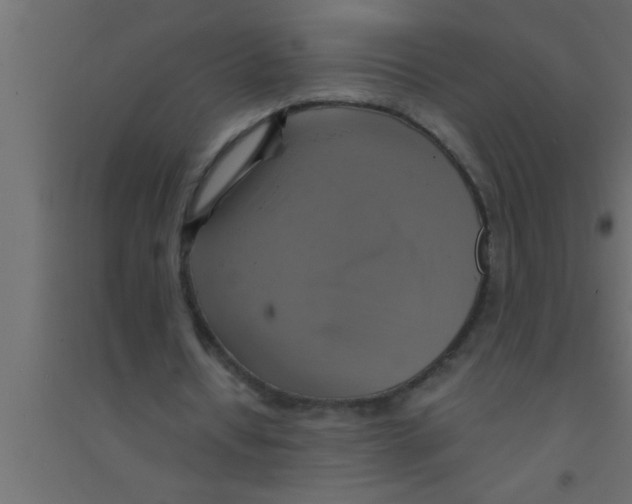 X0000094210434200711241703