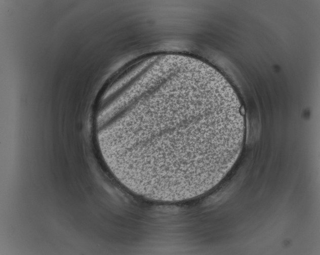 X0000094210435200711241703