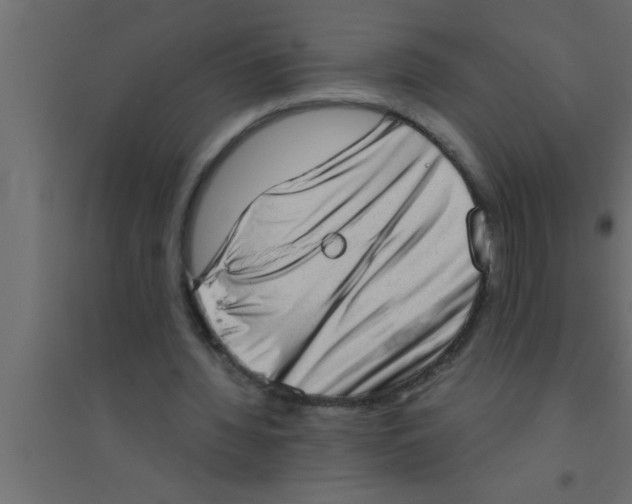 X0000094210436200711241703