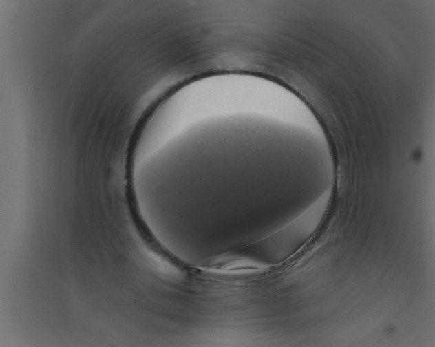 X0000094210438200711241703