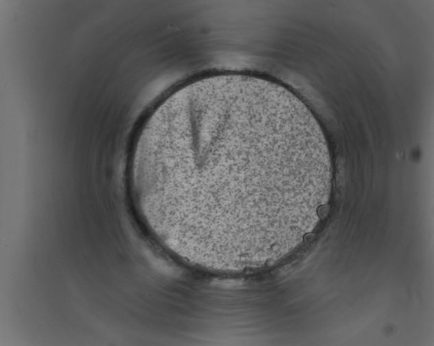 X0000094210440200711241703