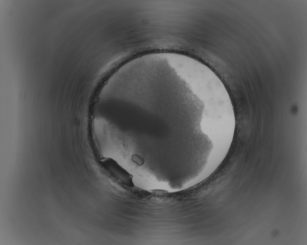 X0000094210442200711241703