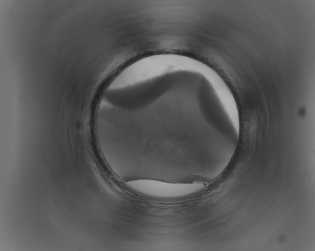X0000094210443200711241703