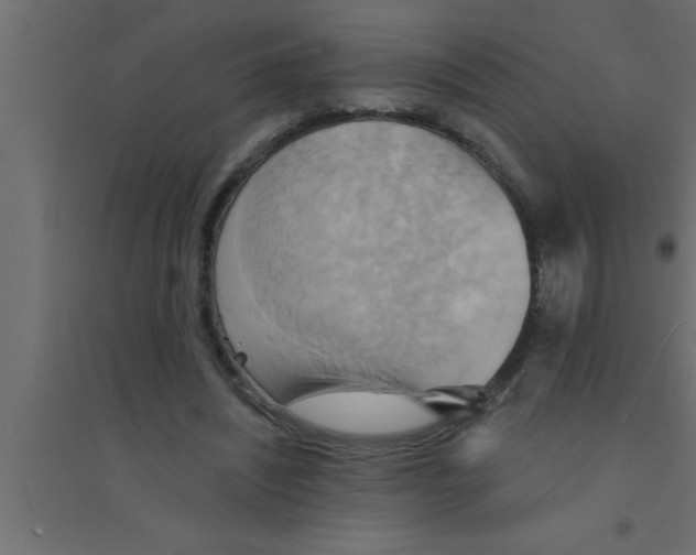 X0000094210444200711241703