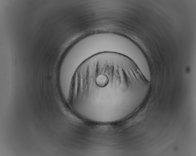 X0000094210446200711241703