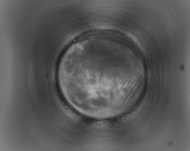 X0000094210447200711241703