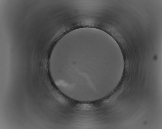 X0000094210449200711241703