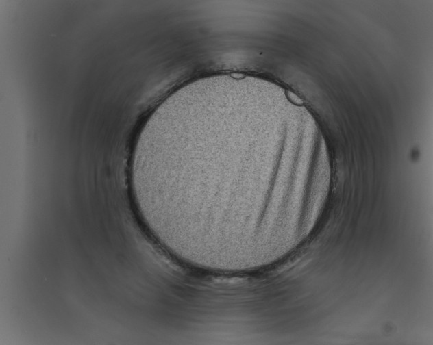 X0000094210450200711241703