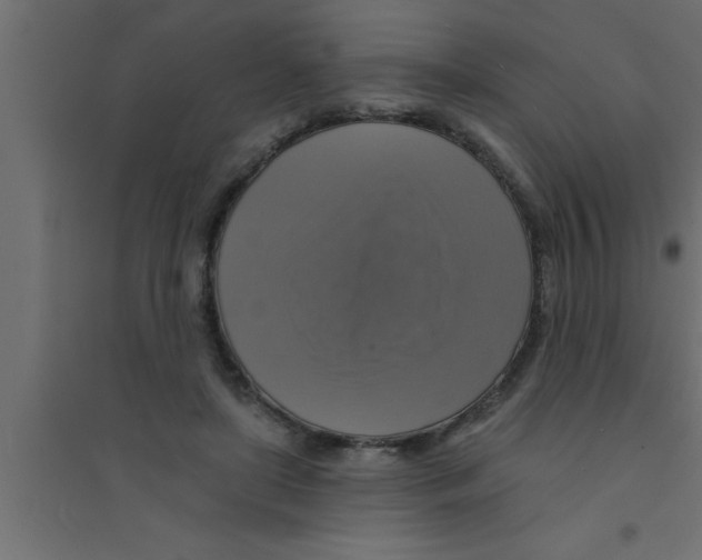X0000094210451200711241703