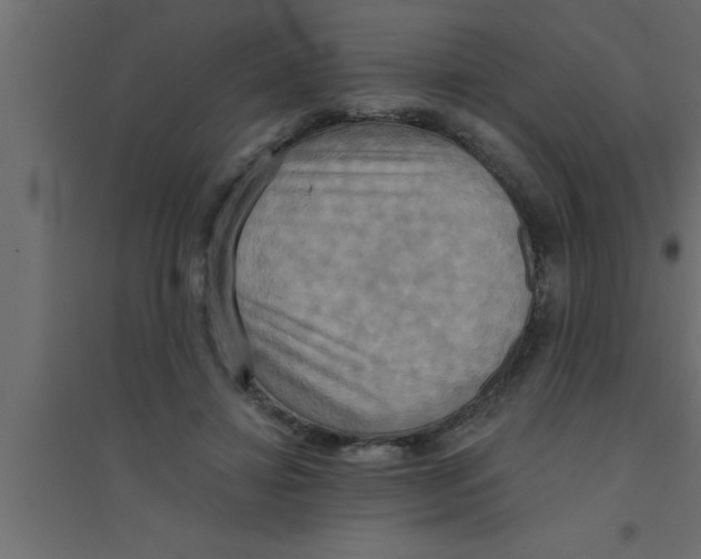 X0000094210452200711241703