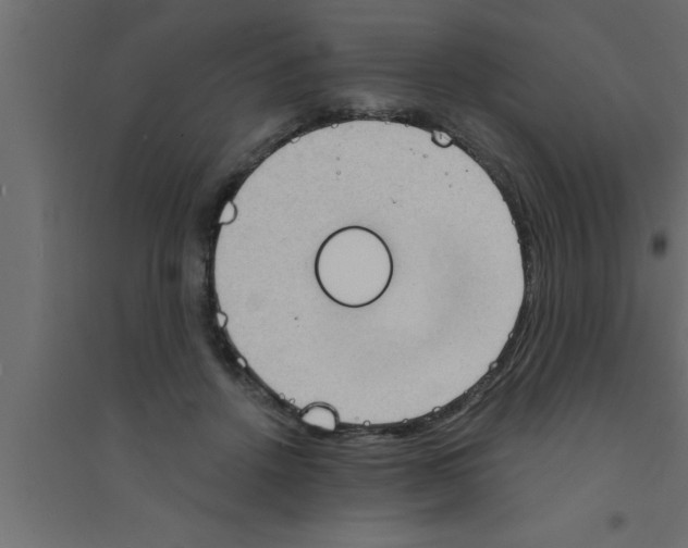 X0000094210456200711241703