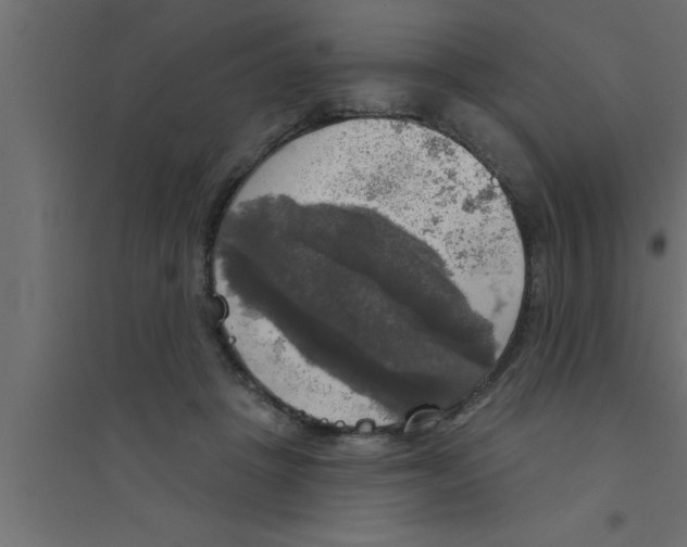 X0000094210457200711241703