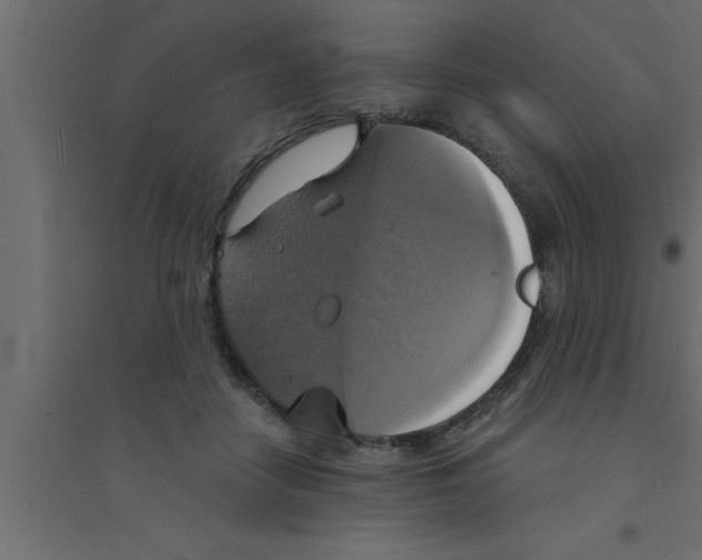 X0000094210458200711241703