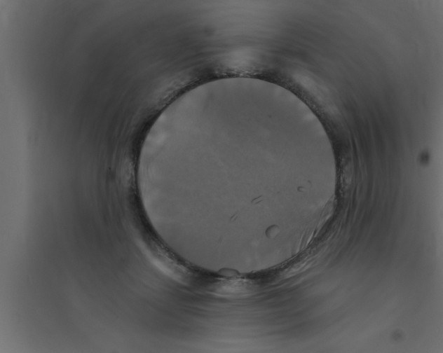 X0000094210459200711241703