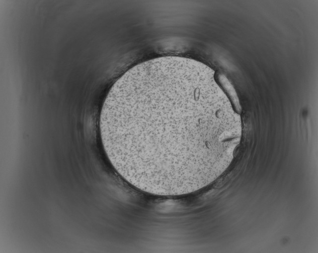 X0000094210460200711241703