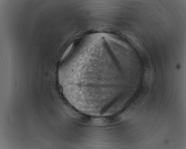 X0000094210461200711241703