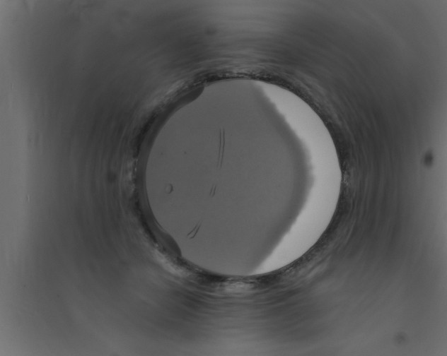 X0000094210462200711241703