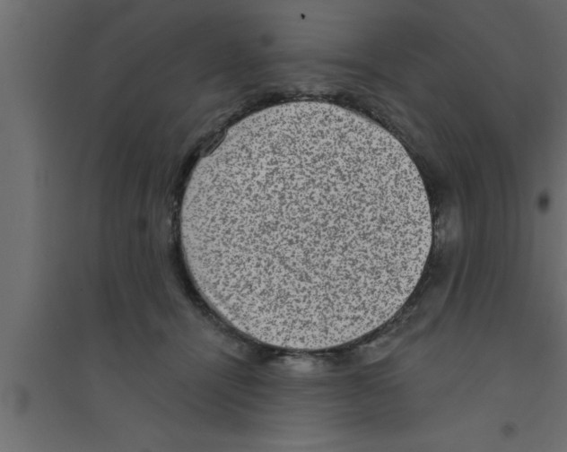 X0000094210464200711241703
