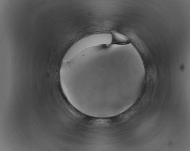 X0000094210465200711241703
