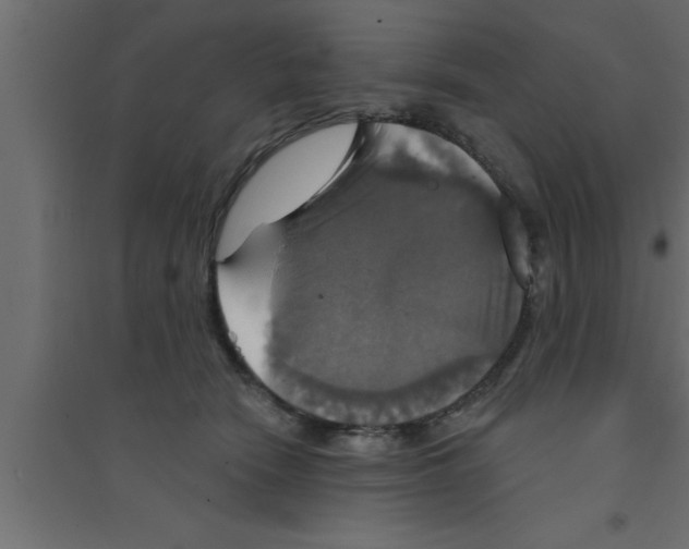 X0000094210466200711241703