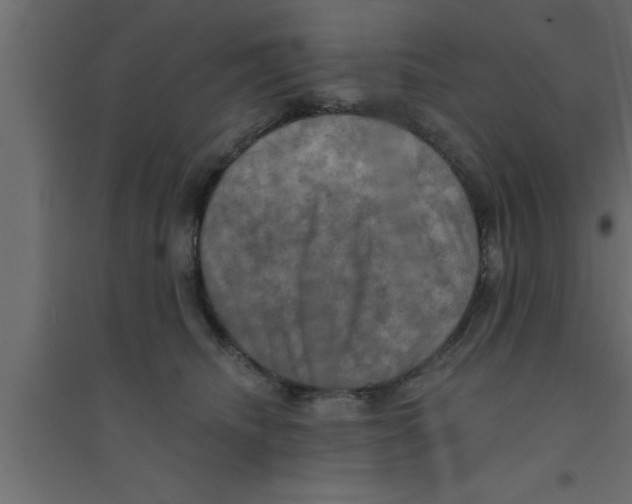 X0000094210468200711241704