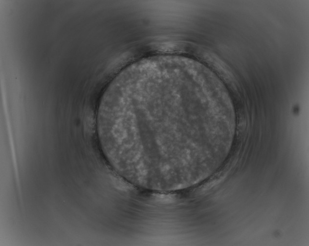X0000094210469200711241704