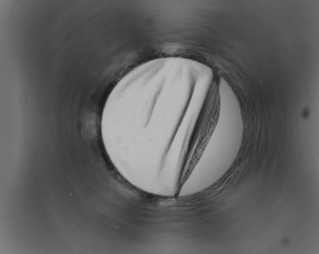 X0000094210470200711241704