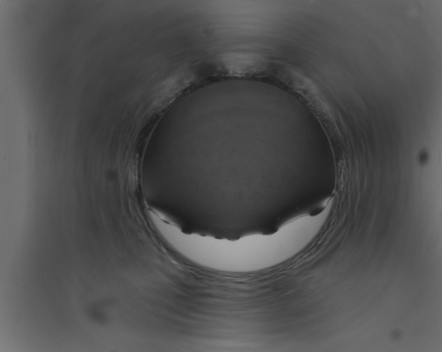 X0000094210471200711241704