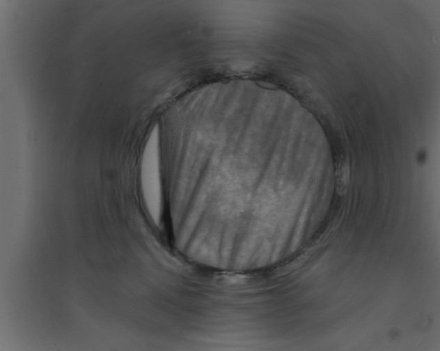 X0000094210472200711241704