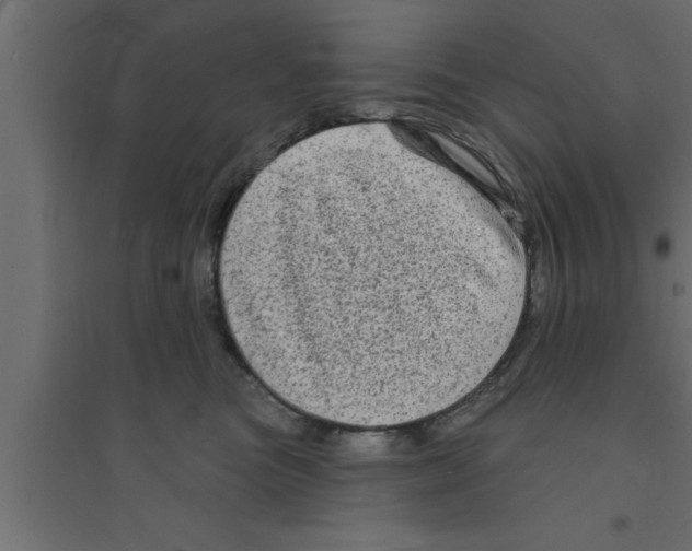 X0000094210473200711241704