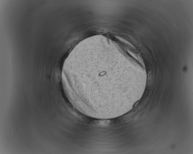 X0000094210474200711241704