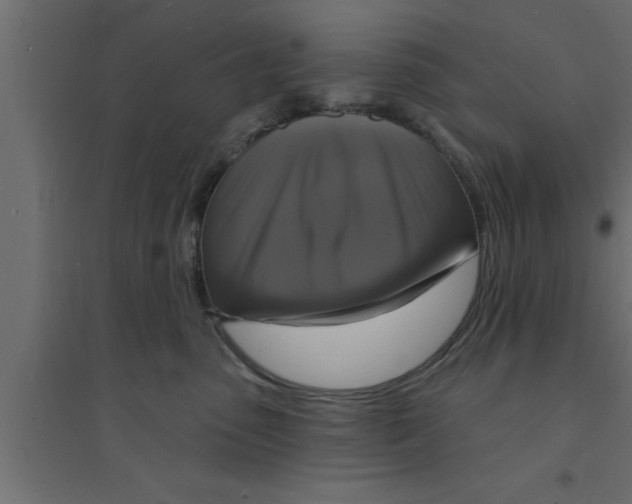 X0000094210475200711241704