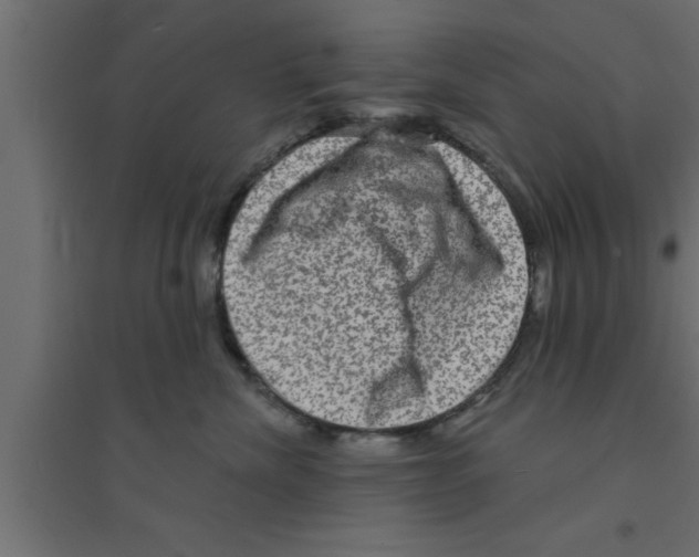 X0000094210476200711241704