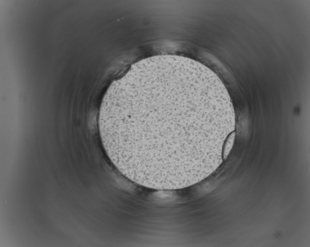 X0000094210477200711241704