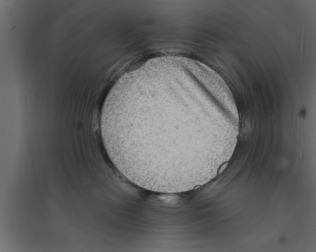 X0000094210478200711241704